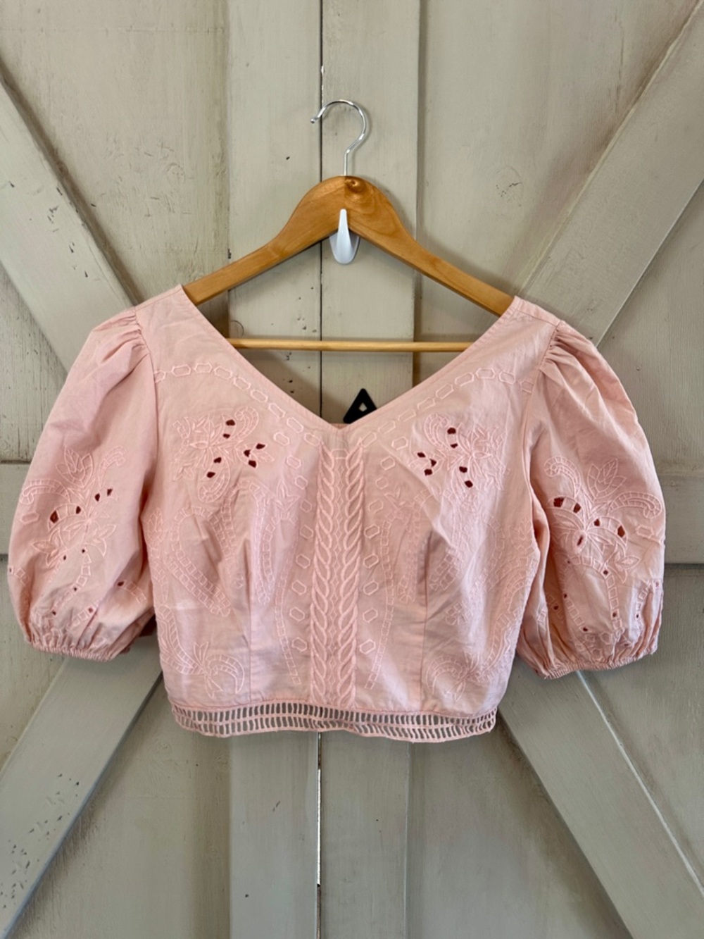 Express Blush Pink Embroidered Puff Sleeve Crop Top Women’s Small Boho Cottage
